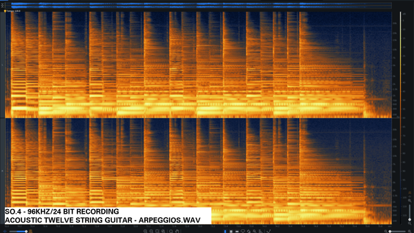 Ultrasonic Spectrogram SO.4 Ultrasonic Omni Microphone Field Recording Sonorous Objects EM258