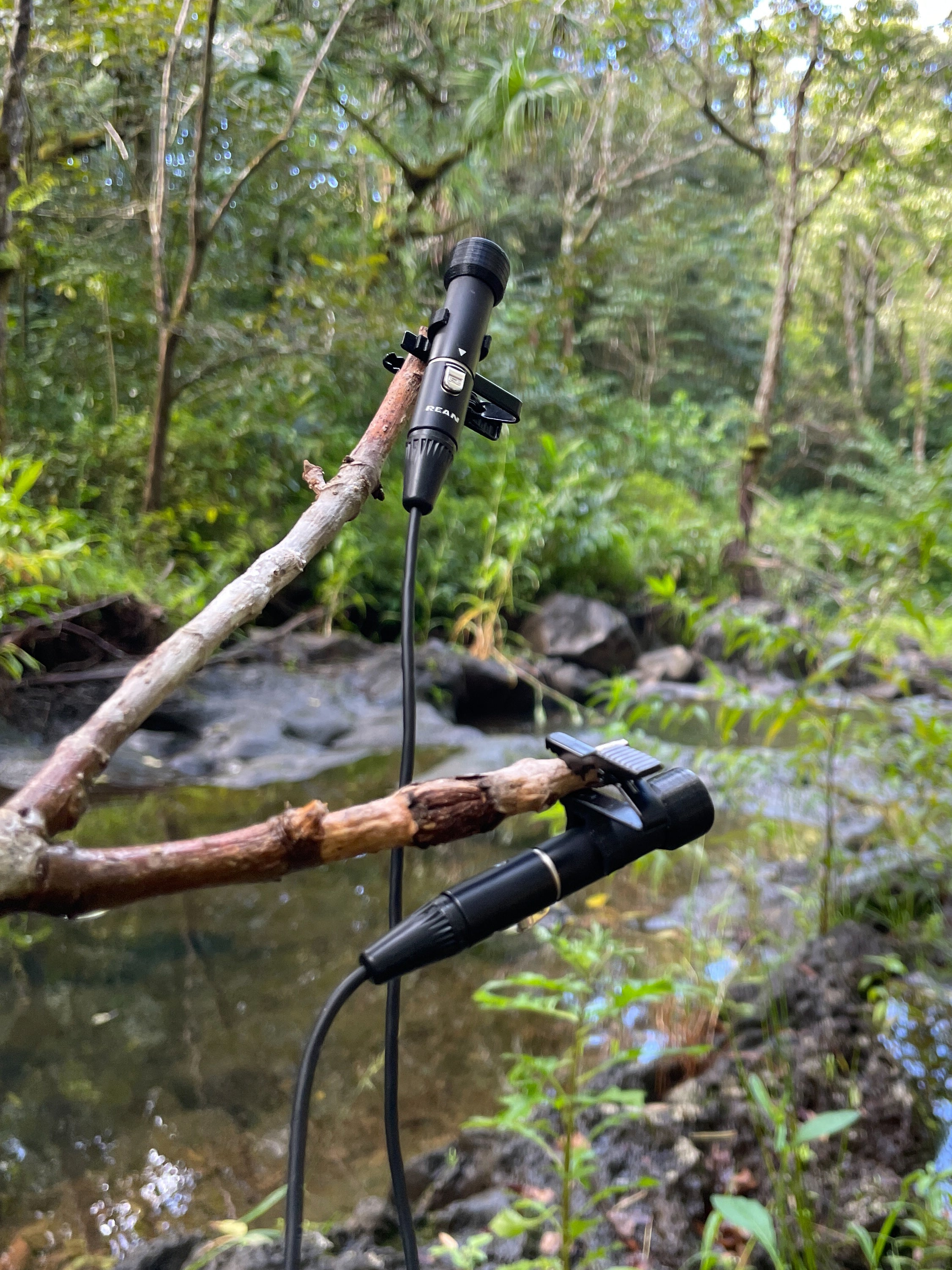 SO1 Omni Microphone Rainforest Sonorous Objects NYCSO1 Omni Microphone Clip Sonorous Objects NYC Primo EM272